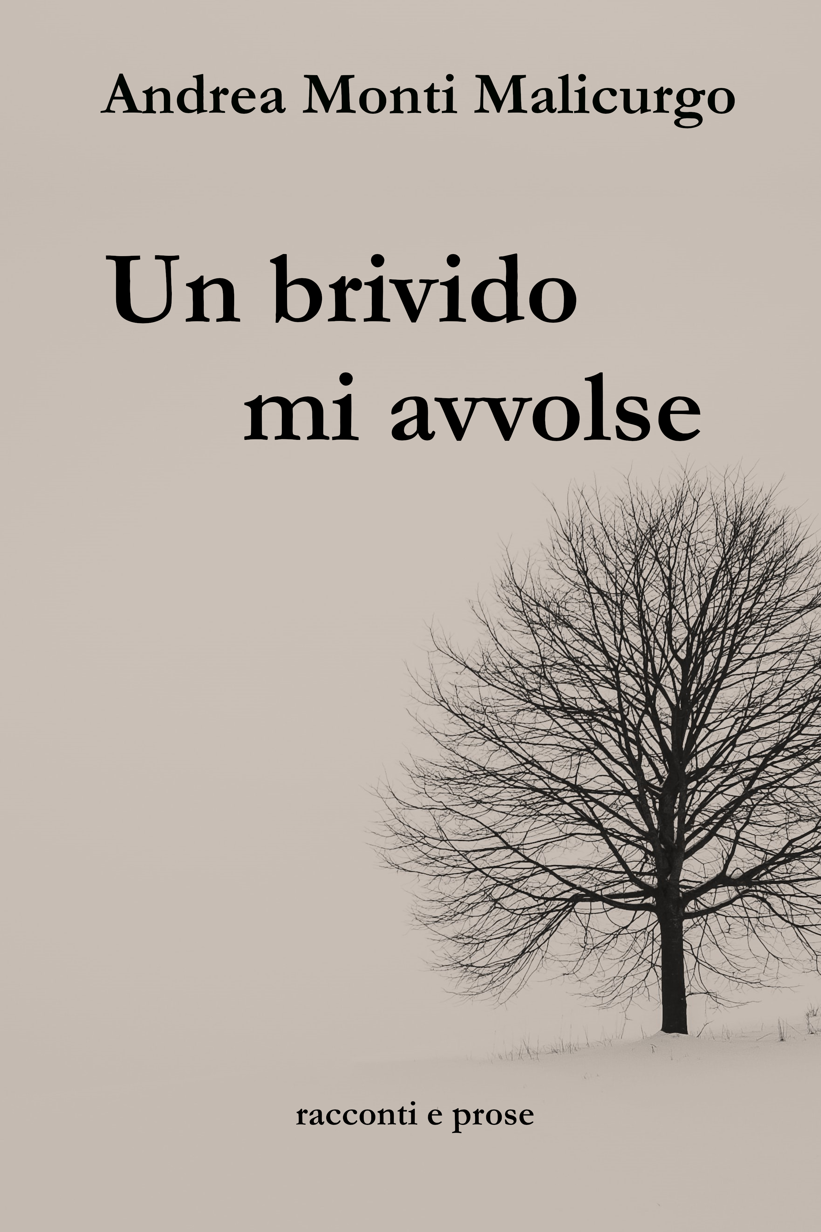 Copertina di Un brivido mi avvolse, di Andrea Monti Malicurgo